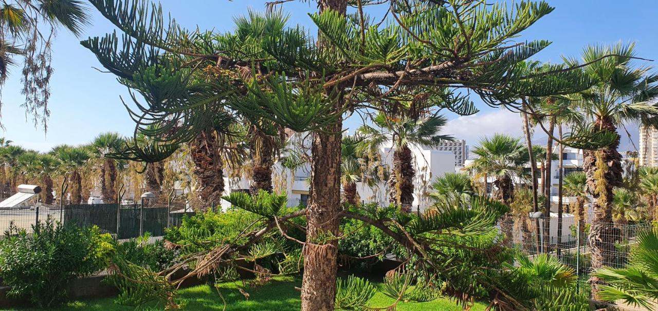 Adults Only Sunny Quiet Apartment In Center Of Las Americas Arona (Tenerife) Exterior foto