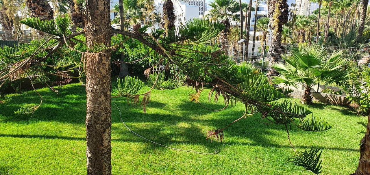 Adults Only Sunny Quiet Apartment In Center Of Las Americas Arona (Tenerife) Exterior foto