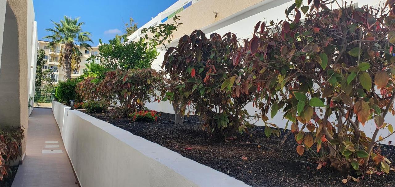 Adults Only Sunny Quiet Apartment In Center Of Las Americas Arona (Tenerife) Exterior foto
