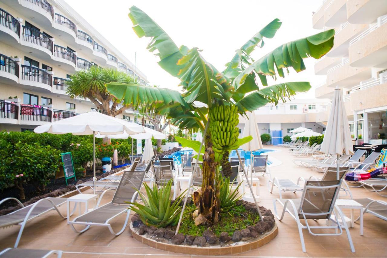 Adults Only Sunny Quiet Apartment In Center Of Las Americas Arona (Tenerife) Exterior foto