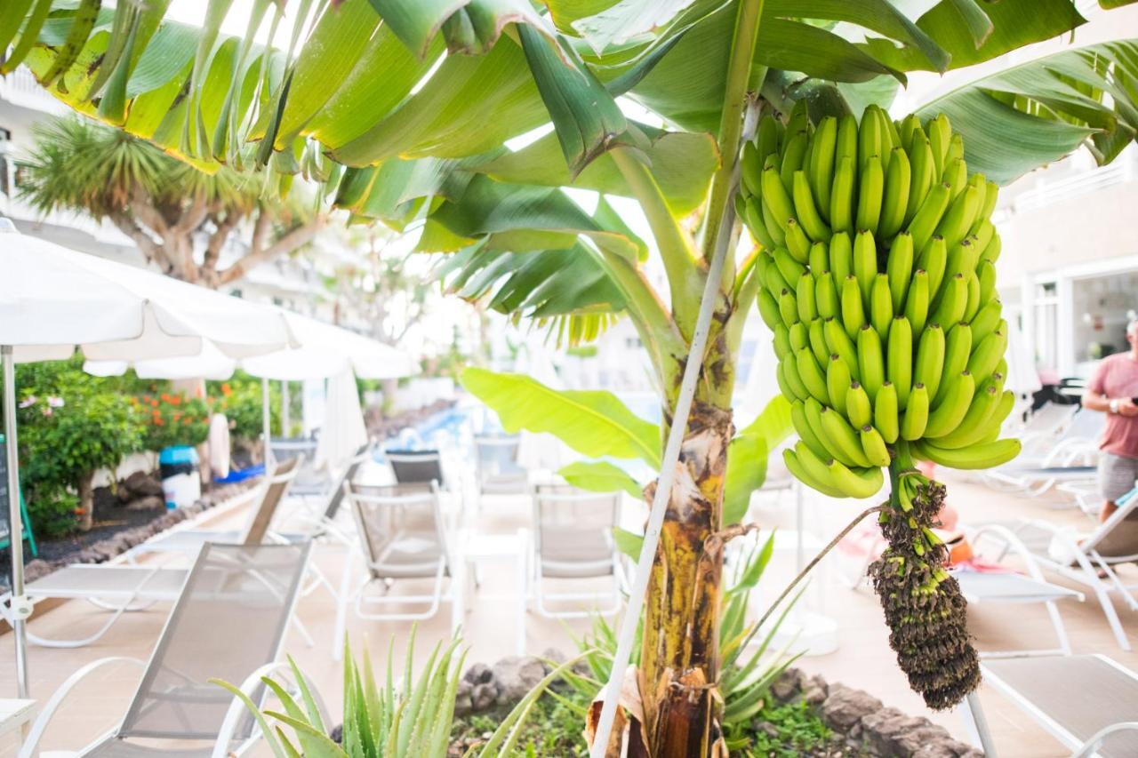 Adults Only Sunny Quiet Apartment In Center Of Las Americas Arona (Tenerife) Exterior foto